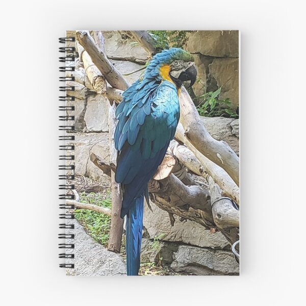 Item preview, Blue parrot on Branch designed and sold by flagboss.