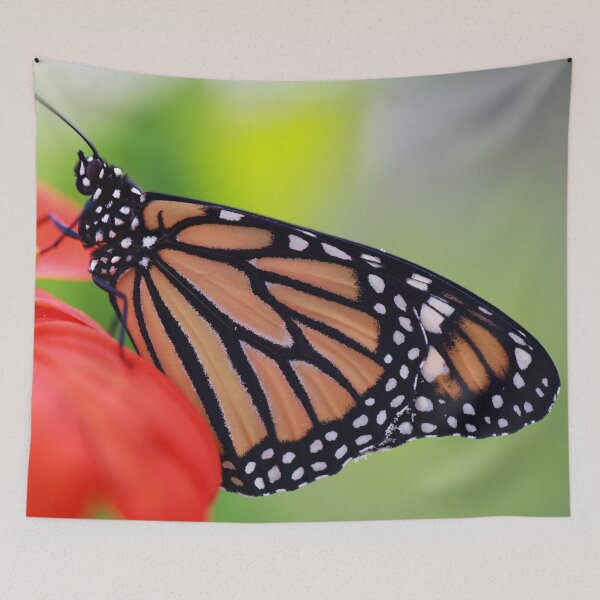 Item preview, Monarch on Tithonia designed and sold by StampCity.