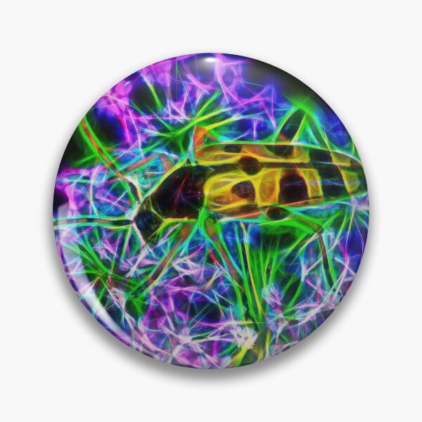 Item preview, spotted longhorn – rutpela maculata ¦  designed and sold by nature. electrified..
