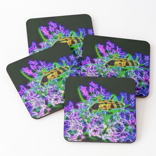 Item preview, spotted longhorn – rutpela maculata ¦  designed and sold by nature. electrified..