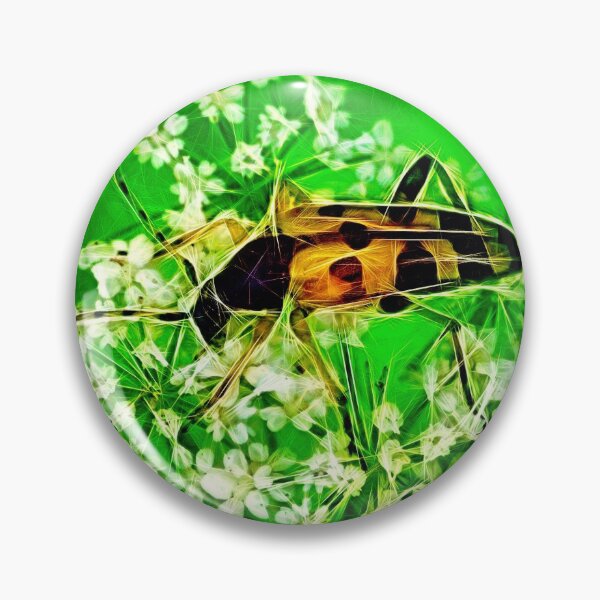 Item preview, spotted longhorn – rutpela maculata ¦  designed and sold by nature. electrified..