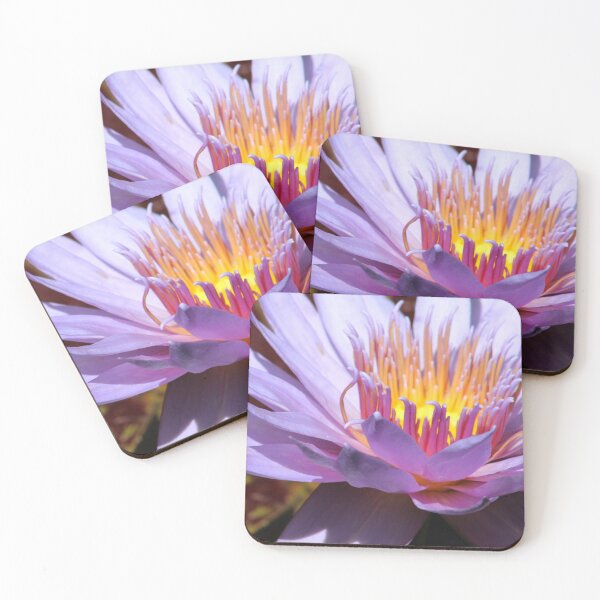 Item preview, Pink Lotus  designed and sold by KobelskiDesigns.