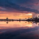 Color Eruption by PeaceInArt