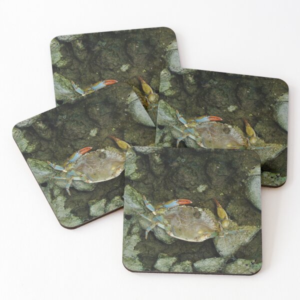 Item preview, Blue Crab designed and sold by AGODIPhoto.