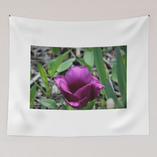 Item preview, Purple tulip designed and sold by lpolitano.