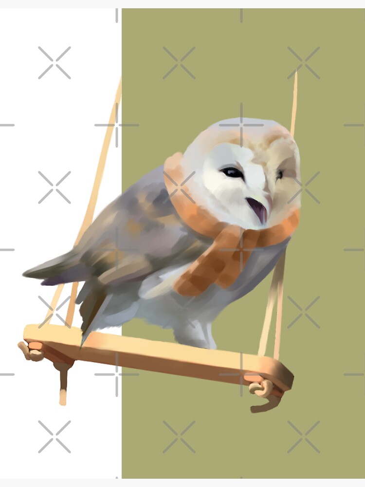 Barn owl by Elenanaylor
