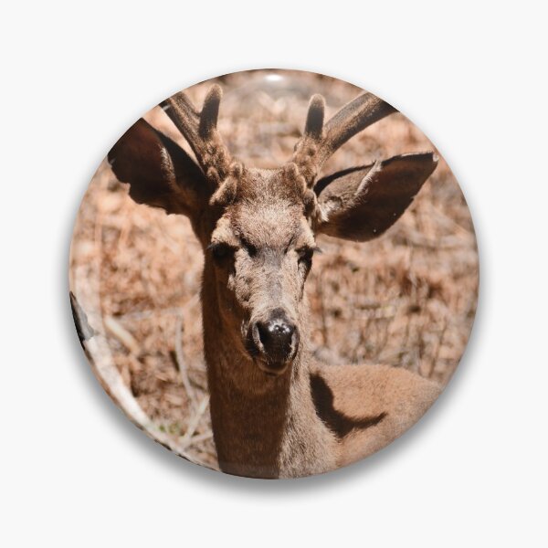 Item preview, doe, Bambi, deer designed and sold by flagboss.