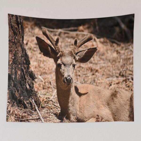 Item preview, doe, Bambi, deer designed and sold by flagboss.