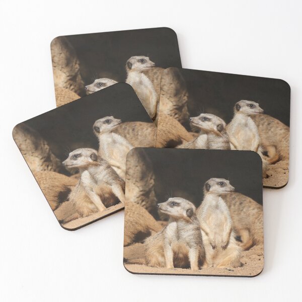 Item preview, Meerkat 003 designed and sold by JAMFoto.