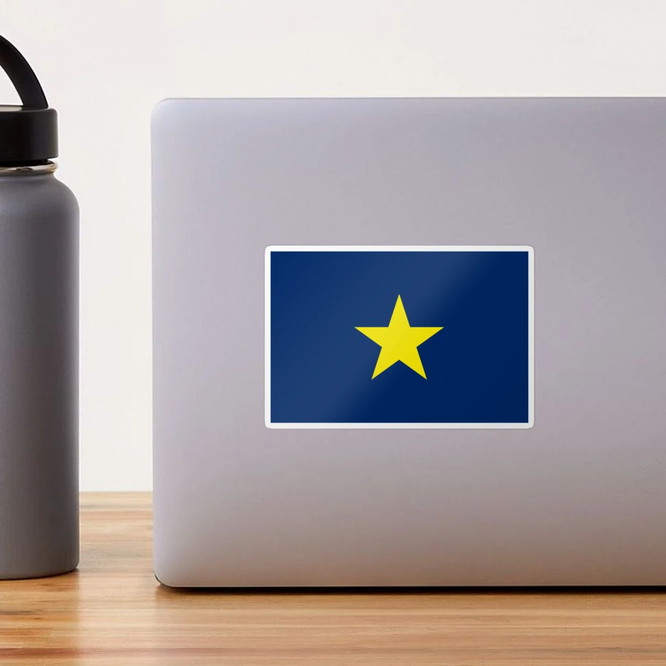 Bandera De La República De Texas De 1836 1846 - Foto 6