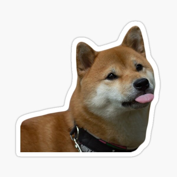 Shiba Tongue Sticker