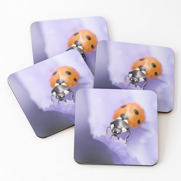 Item preview, Ladybird designed and sold by chanonry.