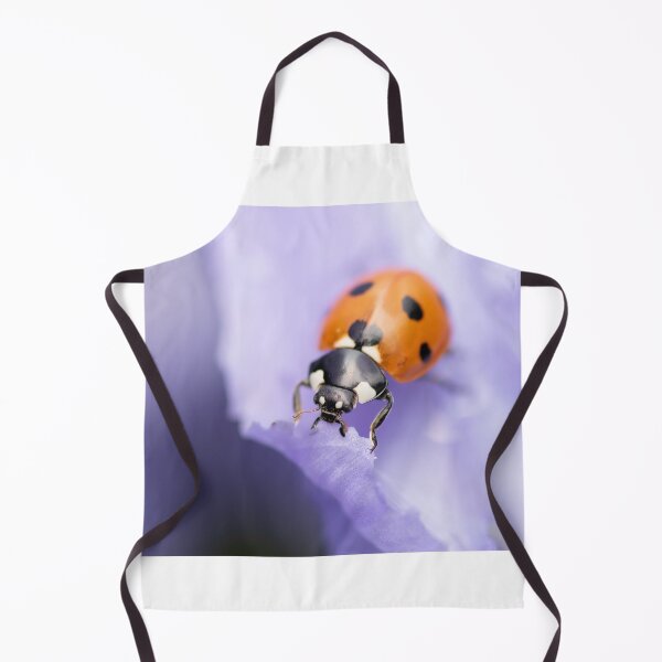 Item preview, Ladybird designed and sold by chanonry.