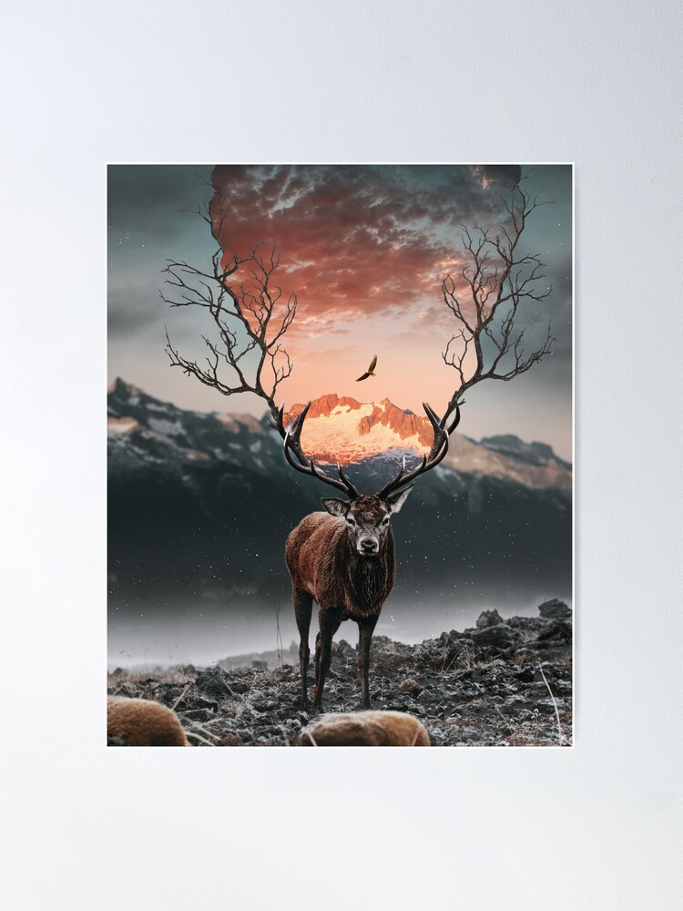 deer art print