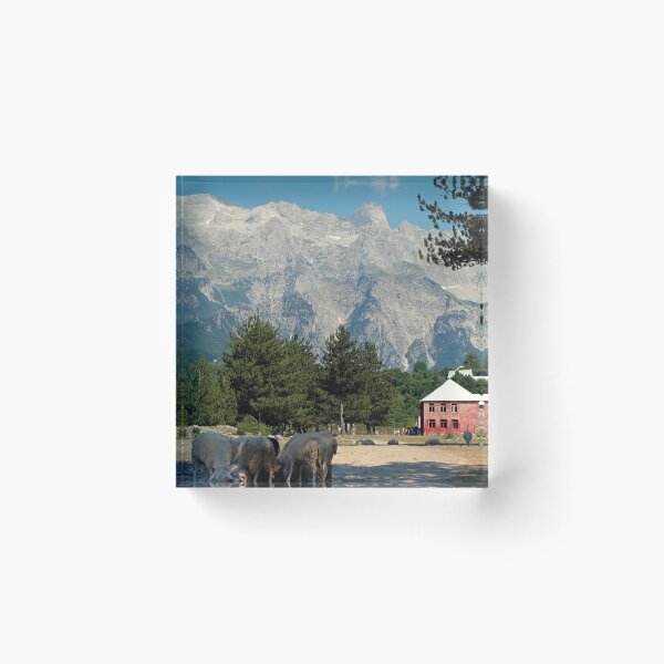 Item preview, Magnificent Online Albania Photo Gift designed and sold by BestOfTravel.