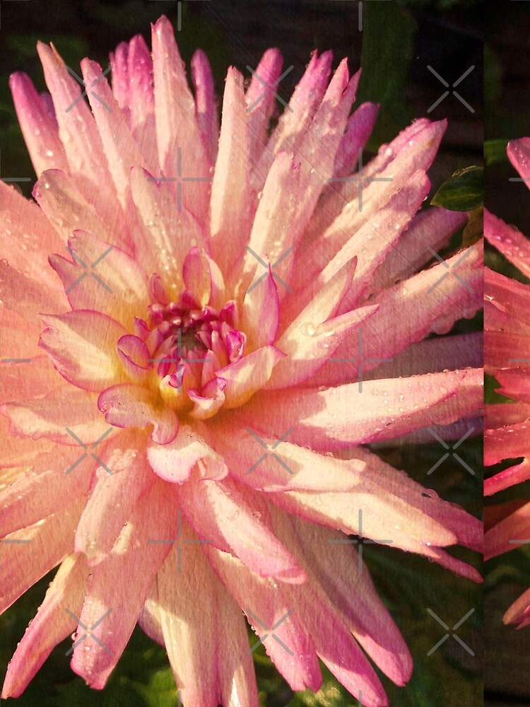 Thumbnail 4 of 4, A-Line Dress, Gift for Gardener - Dazzling Pink Dahlia designed and sold by OneDayArt.