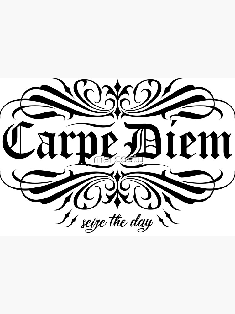 Trinx Carpe Diem On Canvas Textual Art