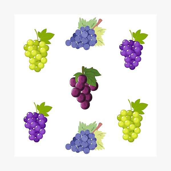 Item preview, Grapes Pattern, Juicy Ripe Red, Blue, Purple, Green Grapes Collage designed and sold by silviaol.