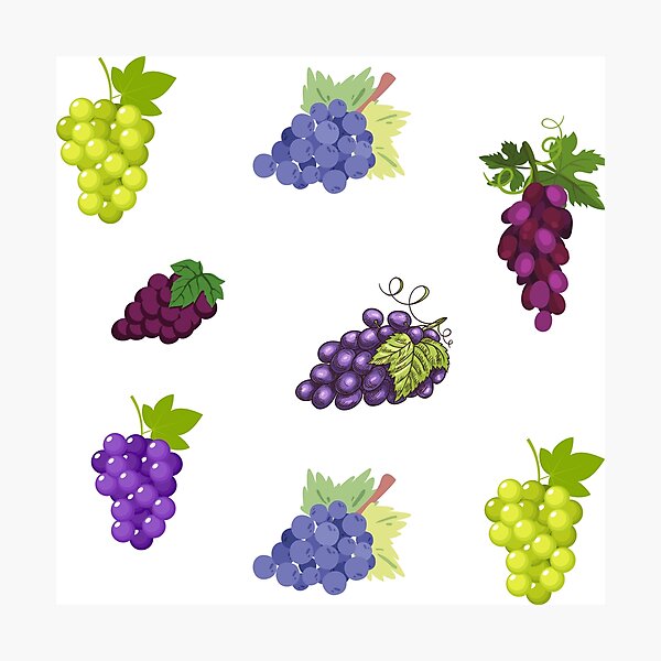 Item preview, Grapes Pattern, Juicy Ripe Red, Blue, Purple, Green Grapes Collage designed and sold by silviaol.