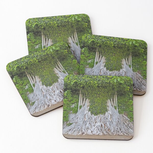 Item preview, Roots Of Privilege. designed and sold by Alex Preiss.
