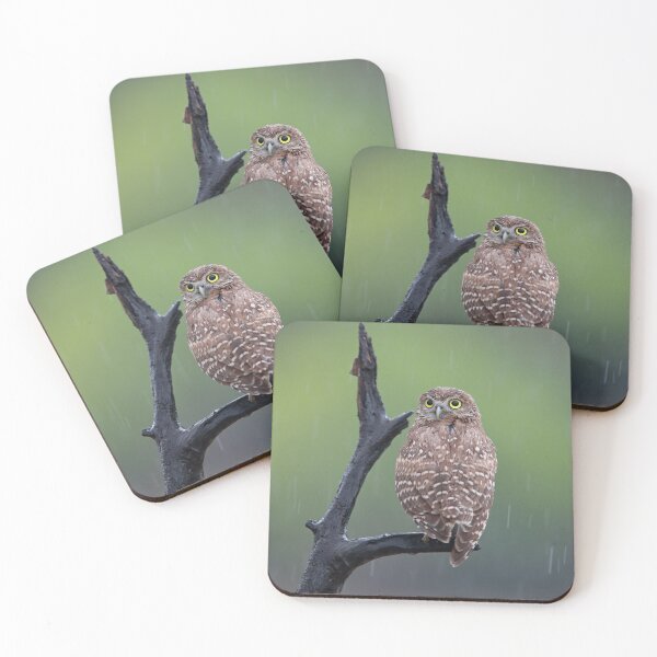 Item preview, Wet Burrowing Owlet designed and sold by mlorenz.