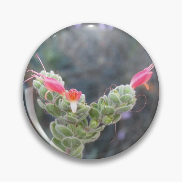 Item preview, Hairy eremophila designed and sold by greentiger1.
