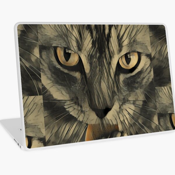 Produits Sur Le Theme Gros Chaton Aux Yeux Redbubble