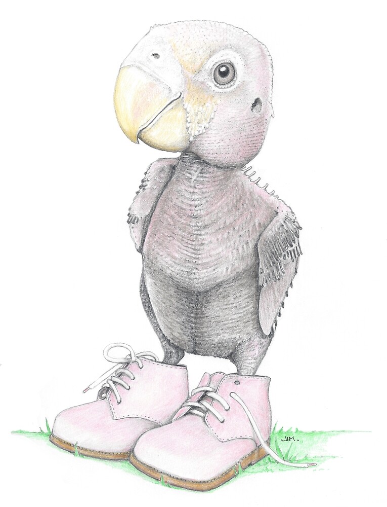 Parrot Chick in Toddler Shoes by JimsBirds