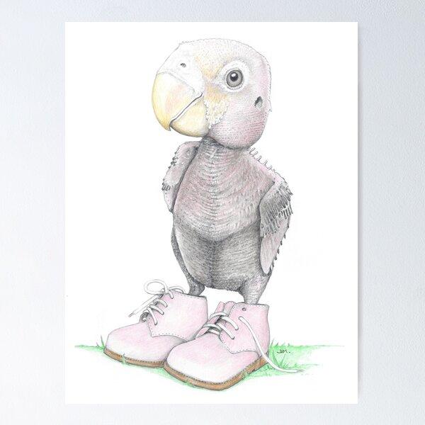 Item preview, Parrot Chick in Toddler Shoes designed and sold by JimsBirds.