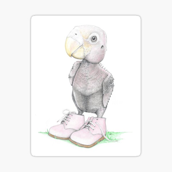 Item preview, Parrot Chick in Toddler Shoes designed and sold by JimsBirds.