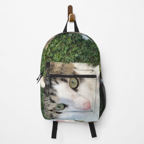 Item preview, Shio the Cat 1 designed and sold by Amospicazo.