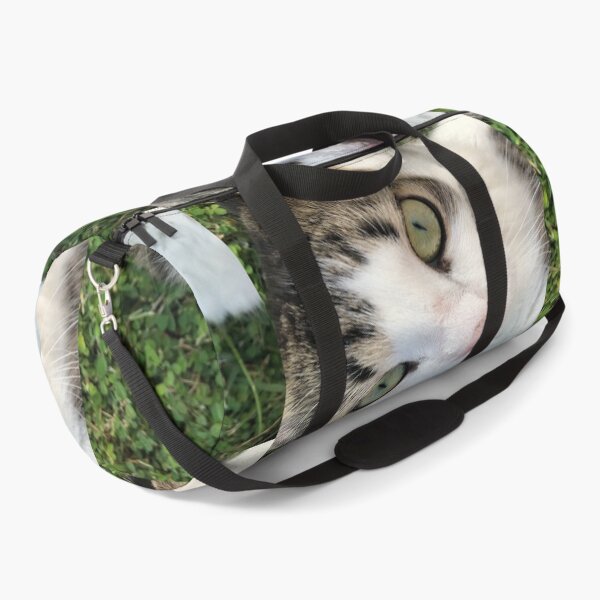 Item preview, Shio the Cat 1 designed and sold by Amospicazo.