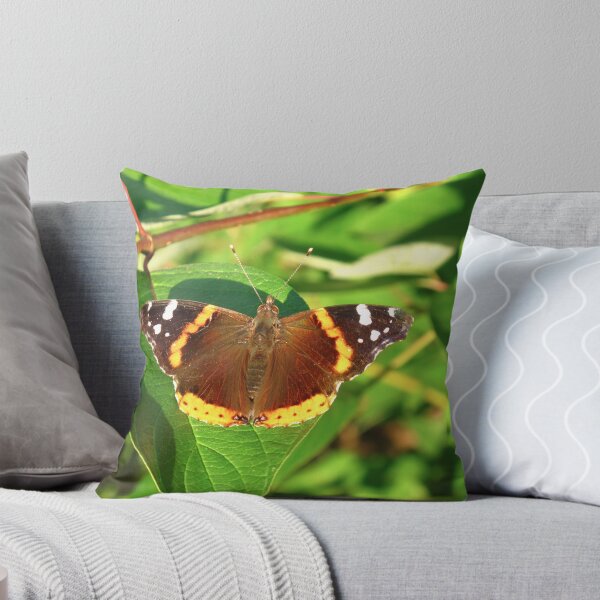 Item preview, Butterflies are free designed and sold by MarianBendeth.
