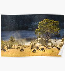 Australian Winter Poster