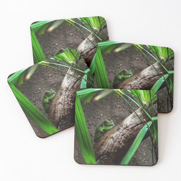 Item preview, Green Frog in Habitat designed and sold by dylanmorgan.