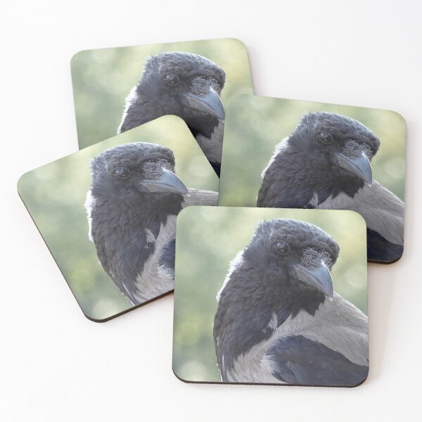Item preview, crow designed and sold by Babbler01.