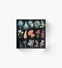 Bloom Acrylic Block