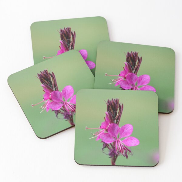 Item preview, spring designed and sold by Babbler01.