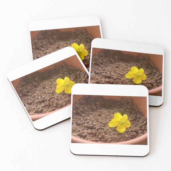 Item preview, Yellow flower designed and sold by SleeplessSigils.