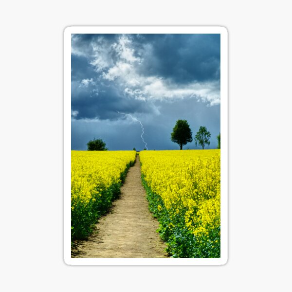 Approaching Storm Sticker