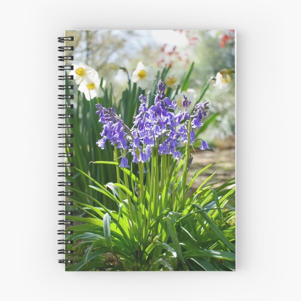 Item preview, Bluebells designed and sold by Alisonchambers2.