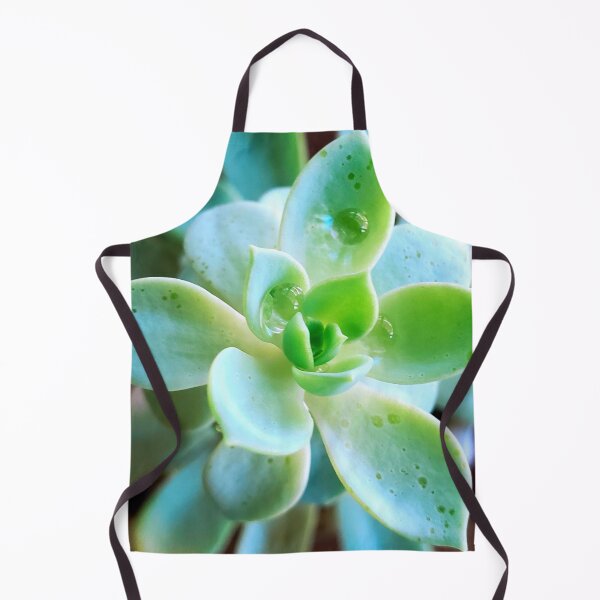 Item preview, Succulent designed and sold by fujinoart.