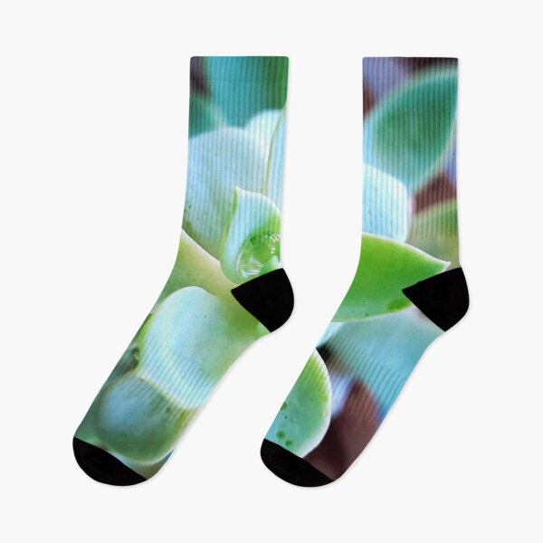 Item preview, Succulent designed and sold by fujinoart.