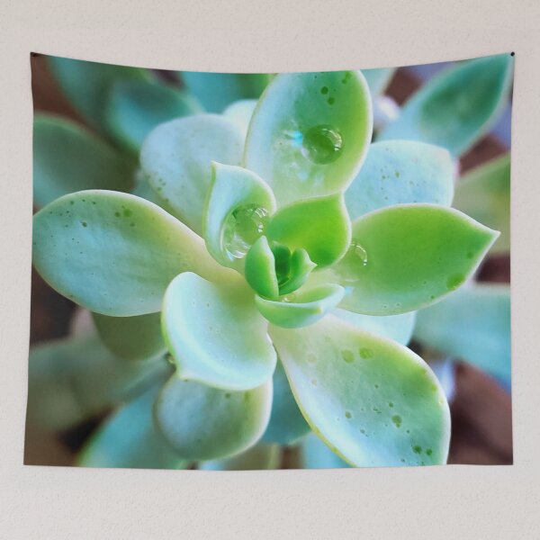 Item preview, Succulent designed and sold by fujinoart.