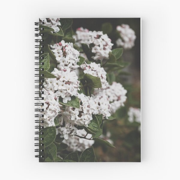 Item preview, White Viburnum Flowers in Springtime designed and sold by Amy Mitchell.