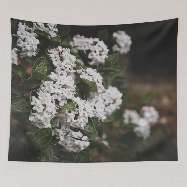 Item preview, White Viburnum Flowers in Springtime designed and sold by Amy Mitchell.