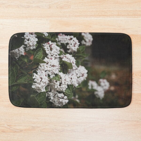 Item preview, White Viburnum Flowers in Springtime designed and sold by Amy Mitchell.