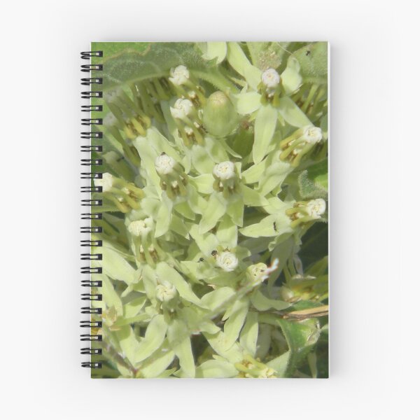 Item preview, Las flores de Milkweed Longhorn siguen siendo abiertas por los insectos amigos designed and sold by Navigator.