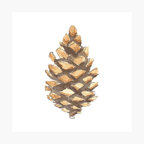 Item preview, Pine Cone designed and sold by TheBestStore.
