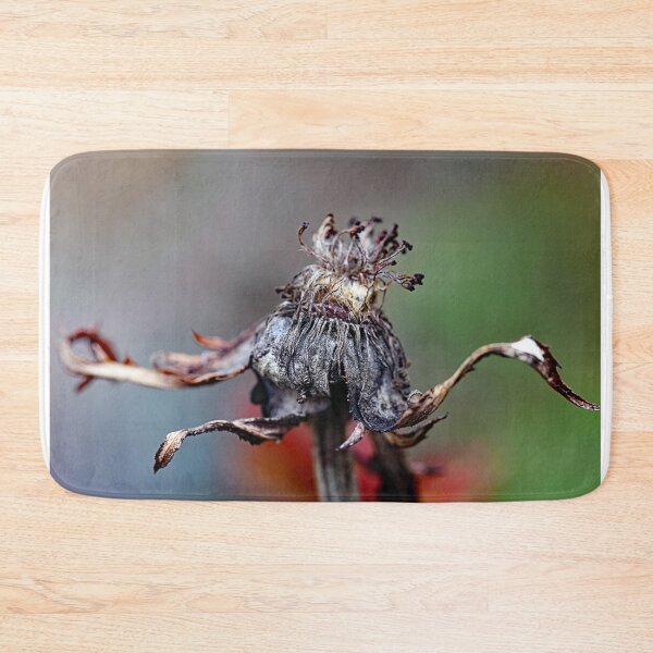Item preview, Withered sunflower designed and sold by ODENWALD-Natur.